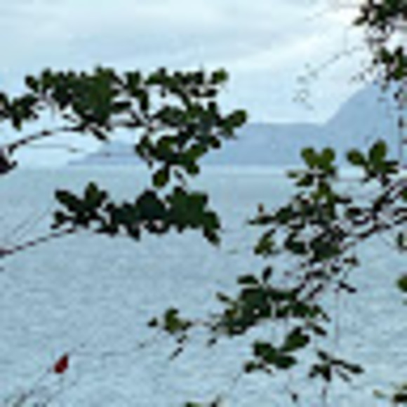 lanafehlauer